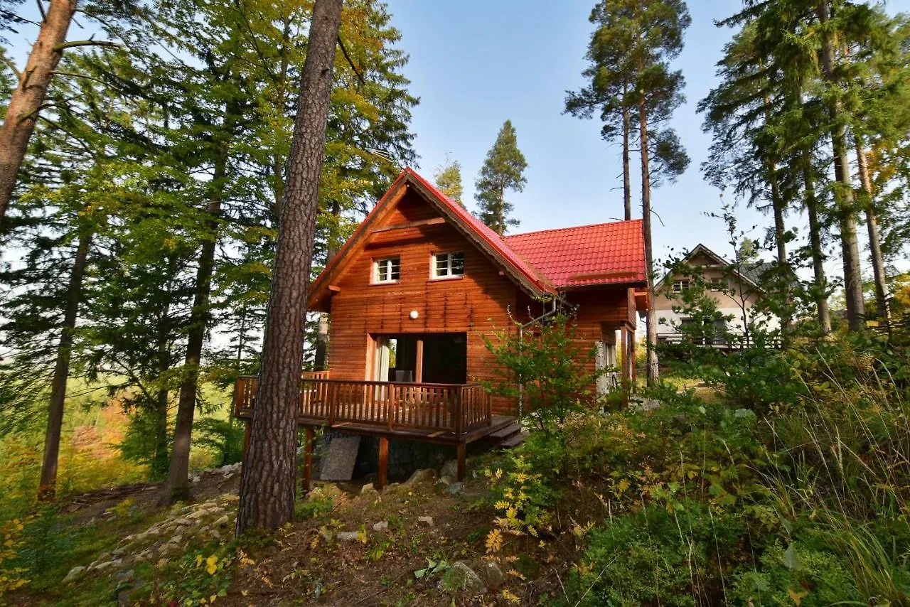 펜션 Lesny Domek Kolo Karpacza - Apartamentuj 폴란드